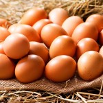 oeuf